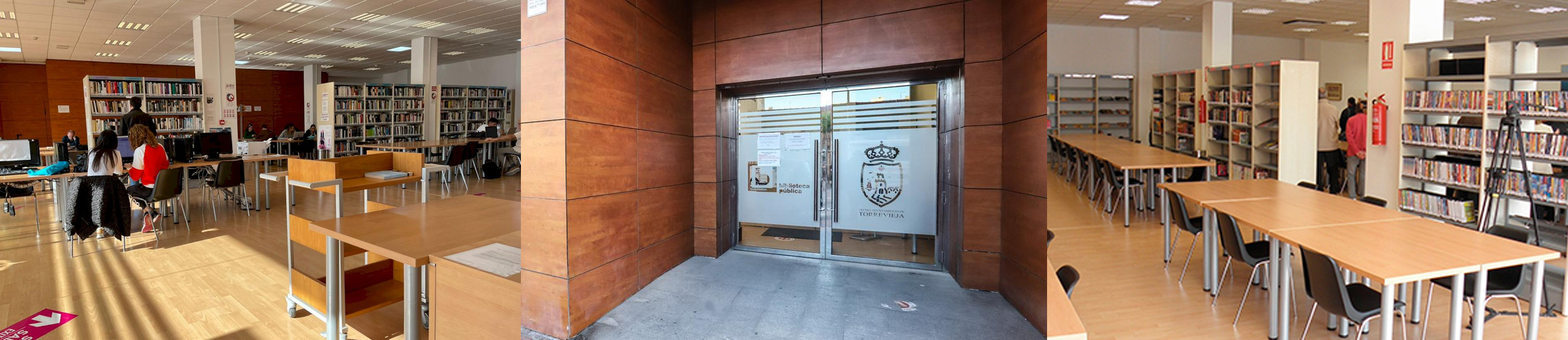 Biblioteca Diego Ramírez
